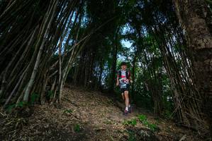 BIB: 
                            <button type="button" onclick="openModal(19395517)" class="btn btn-primary btn-sm float-right btn-popup" data-toggle="modal" data-target=".modal-high-quality">
                        <i class="fas fa-shopping-cart"></i> Add to Cart
                    </button>
                                            <button type="button" onclick="isThisMe(19395517, true)" class="btn btn-success btn-sm float-right btn-popup btn-isme hidden" data-toggle="tooltip" data-placement="bottom" title="นี่คือรูปของคุณใช่ไหม คลิกที่นี่เพื่อเอาเข้าอัลบั้ม">
                        <i class="fas fa-plus"></i> Add to album
                    </button>
                    <button type="button" onclick="isThisMe(19395517, false)" class="btn btn-warning btn-sm float-right btn-popup btn-isnotme hidden">
                        <i class="fas fa-ban"></i> Remove from album
                    </button>